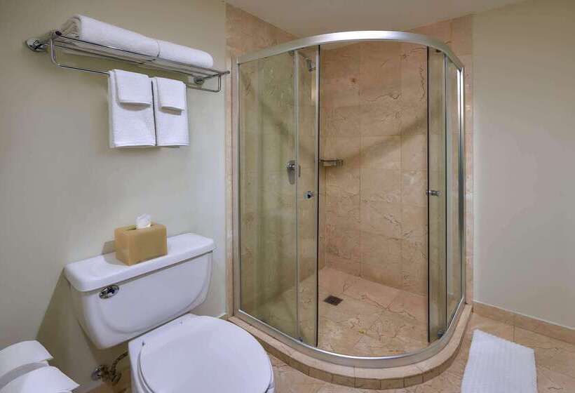 هتل Wyndham Garden Mexico City Polanco