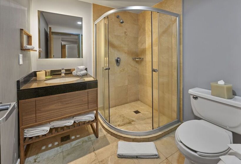 هتل Wyndham Garden Mexico City Polanco