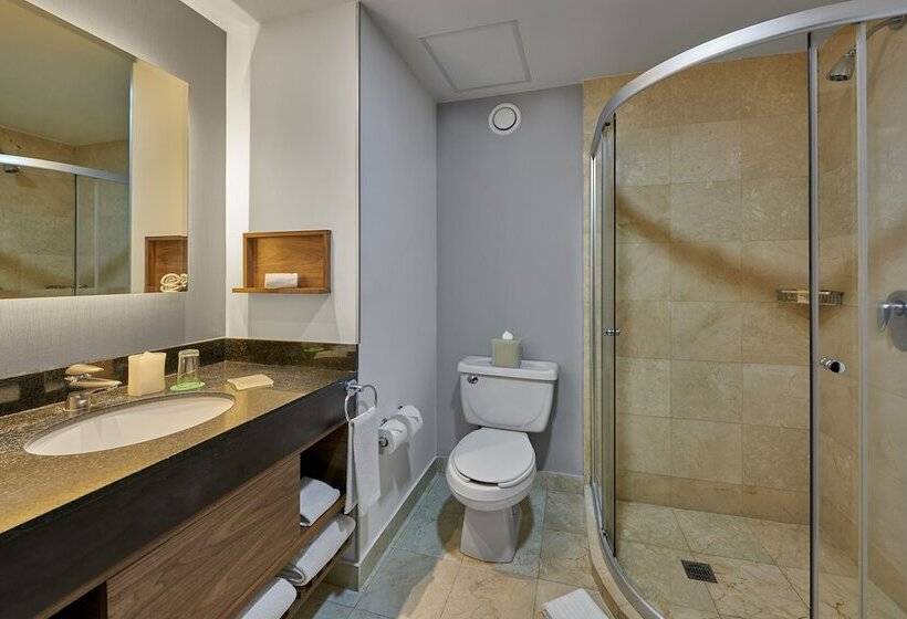 هتل Wyndham Garden Mexico City Polanco