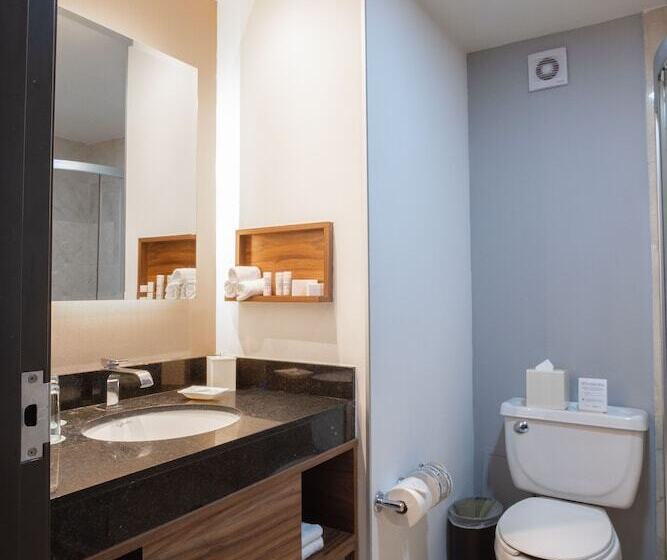 هتل Wyndham Garden Mexico City Polanco