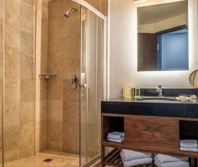 هتل Wyndham Garden Mexico City Polanco