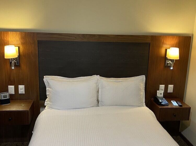 هتل Wyndham Garden Mexico City Polanco