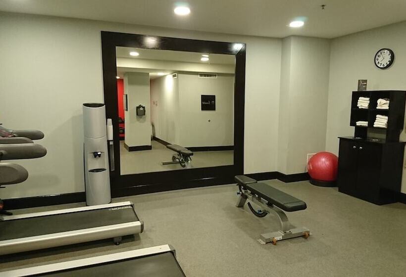 בית מלון כפרי Wyndham Garden Torreon Tecnologico