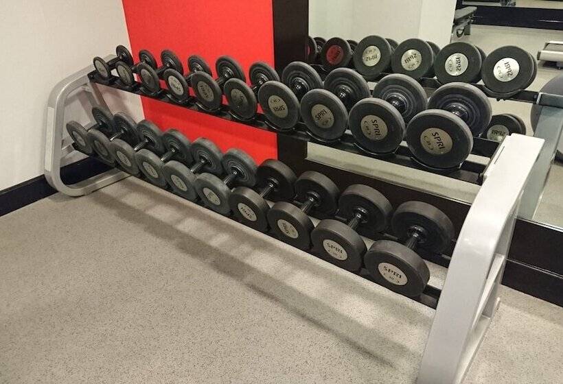 בית מלון כפרי Wyndham Garden Torreon Tecnologico