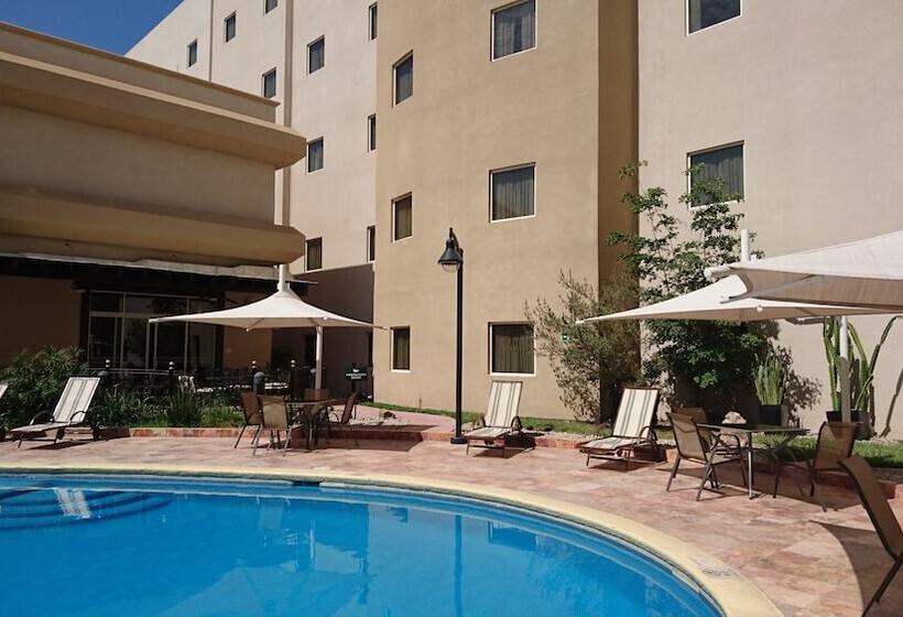 בית מלון כפרי Wyndham Garden Torreon Tecnologico