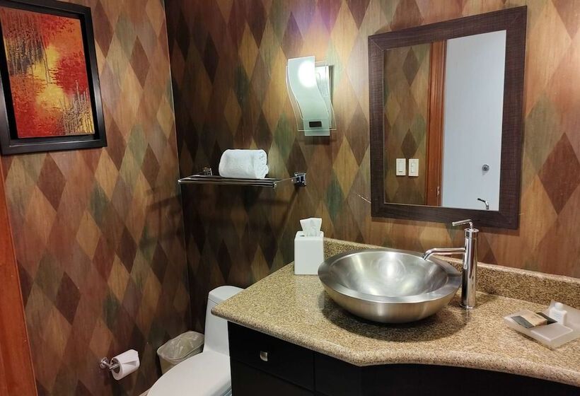 בית מלון כפרי Wyndham Garden Torreon Tecnologico