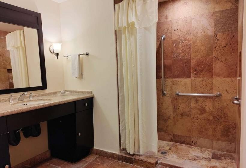 בית מלון כפרי Wyndham Garden Torreon Tecnologico