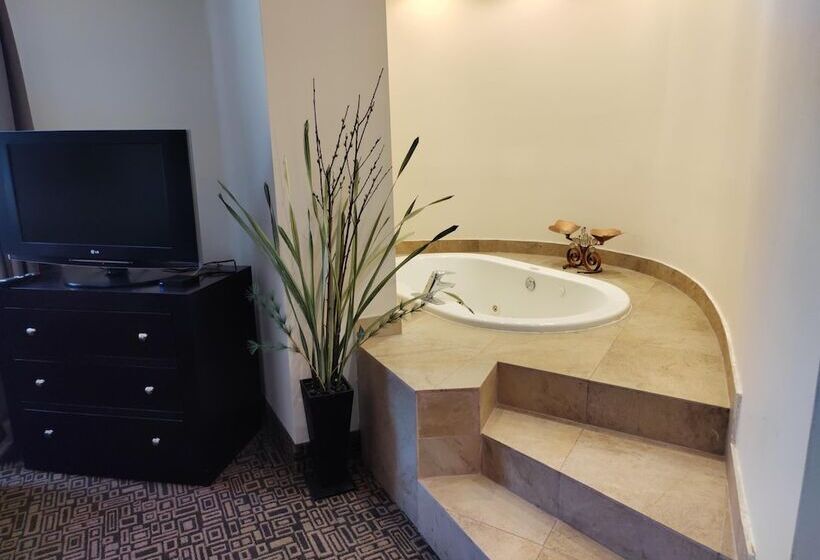 בית מלון כפרי Wyndham Garden Torreon Tecnologico