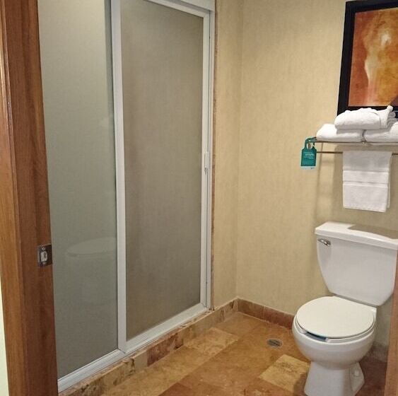 בית מלון כפרי Wyndham Garden Torreon Tecnologico