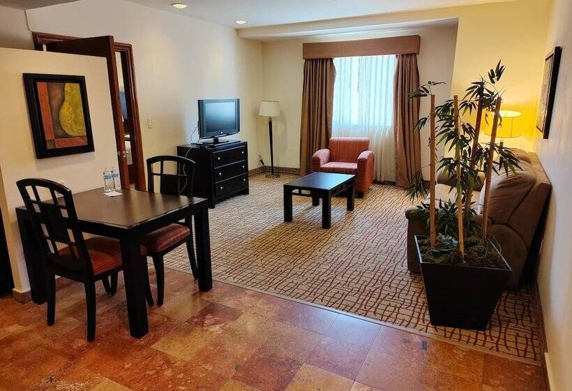 בית מלון כפרי Wyndham Garden Torreon Tecnologico