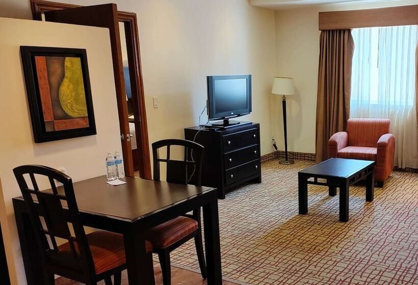 בית מלון כפרי Wyndham Garden Torreon Tecnologico