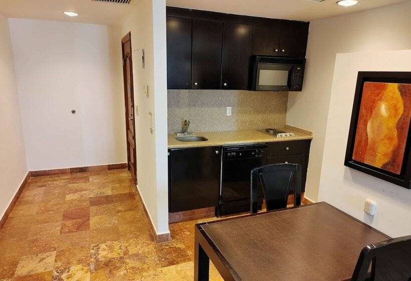 בית מלון כפרי Wyndham Garden Torreon Tecnologico