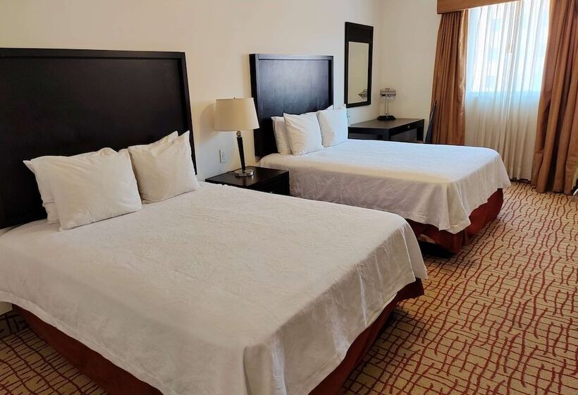 בית מלון כפרי Wyndham Garden Torreon Tecnologico