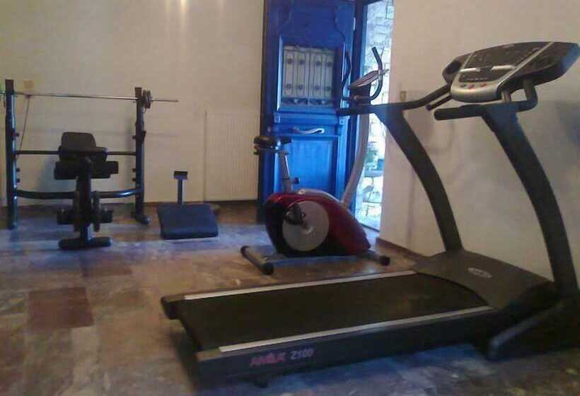 ホテル Zarkada Archontiko