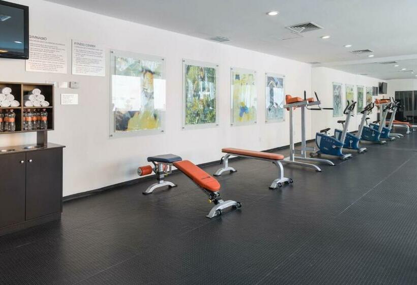 Hs Hotsson Smart Leon Centro Max