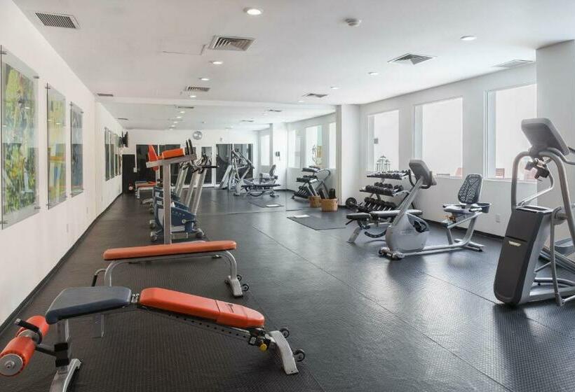 Hs Hotsson Smart Leon Centro Max