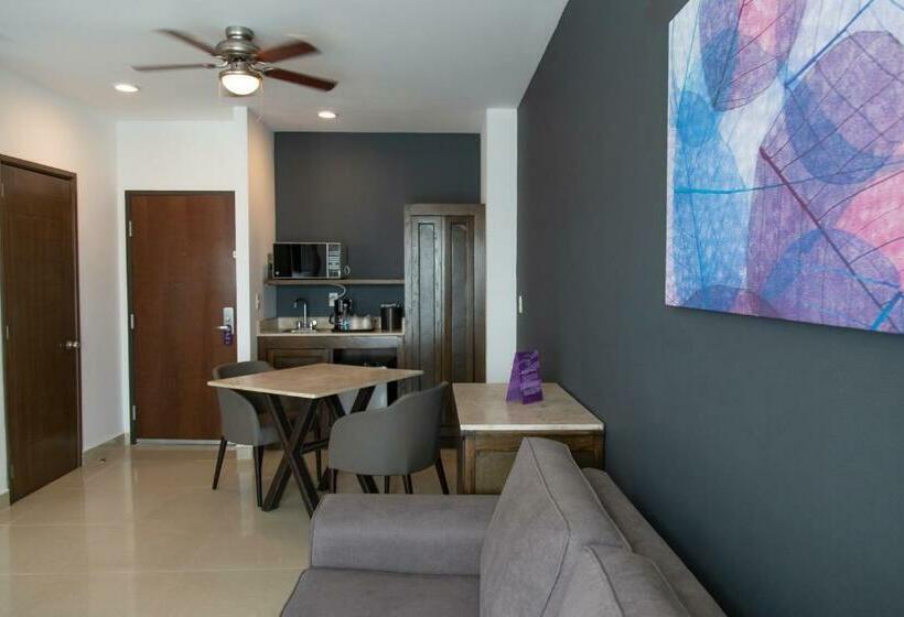 Hs Hotsson Smart Leon Centro Max