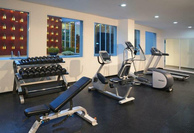 Hs Hotsson Smart Leon Centro Max