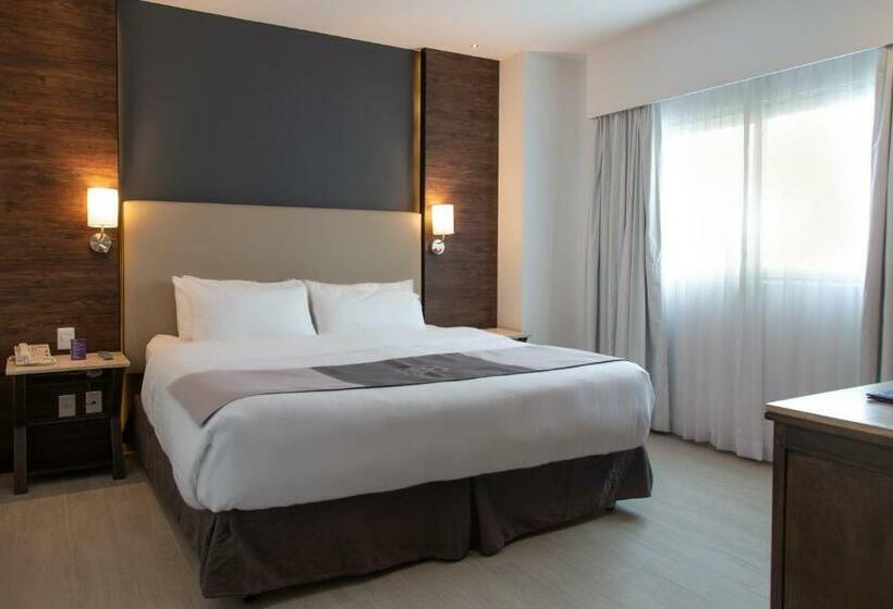 Hs Hotsson Smart Leon Centro Max