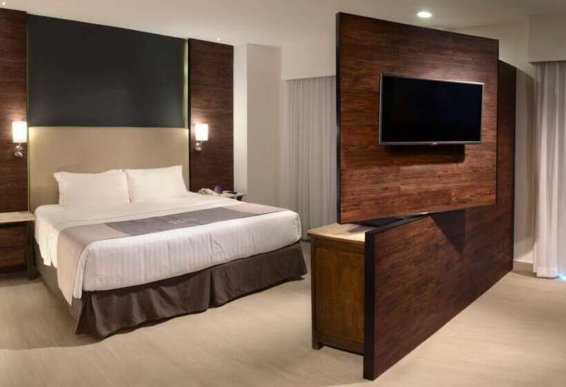 Hs Hotsson Smart Leon Centro Max