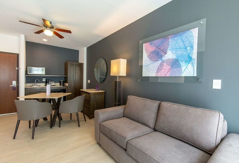 Hs Hotsson Smart Leon Centro Max