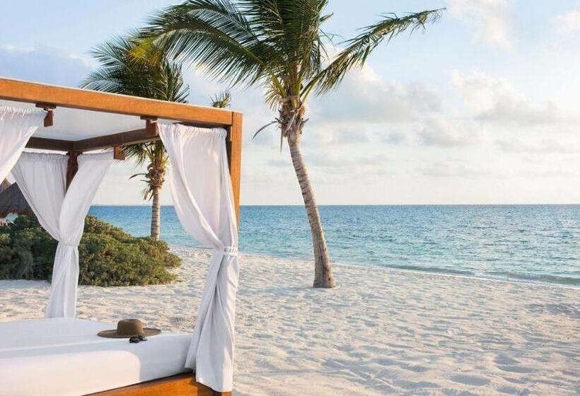 استراحتگاه Excellence Playa Mujeres  All Inclusive  Adults Only