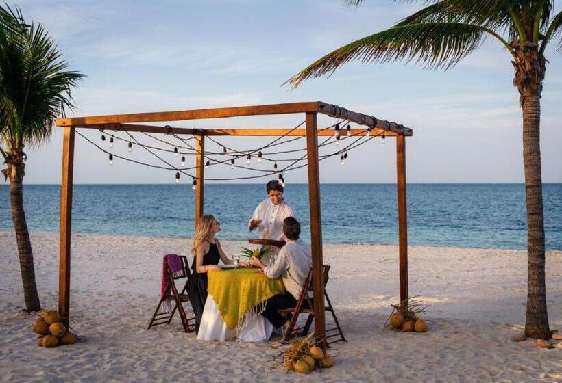 استراحتگاه Excellence Playa Mujeres  All Inclusive  Adults Only