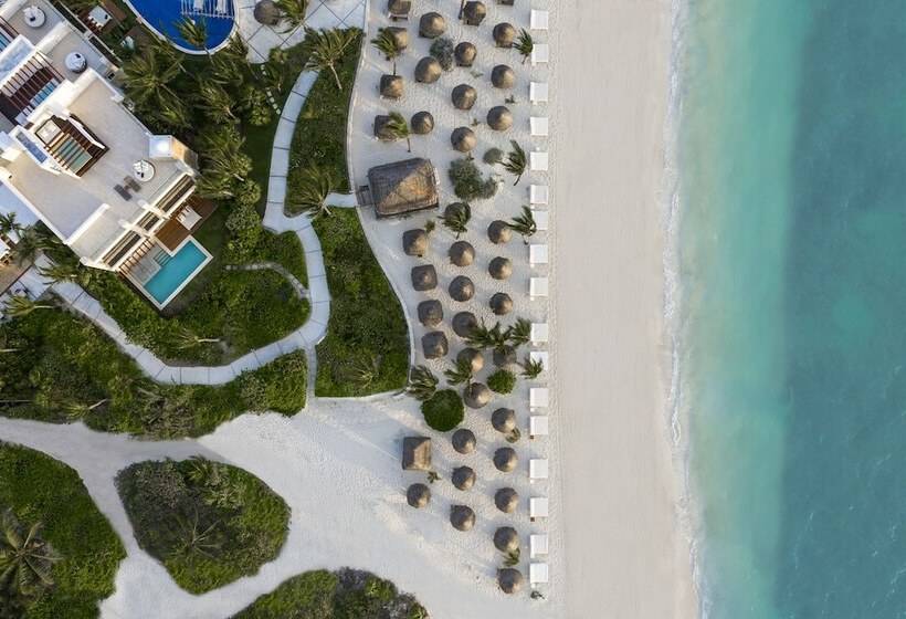 استراحتگاه Excellence Playa Mujeres  All Inclusive  Adults Only