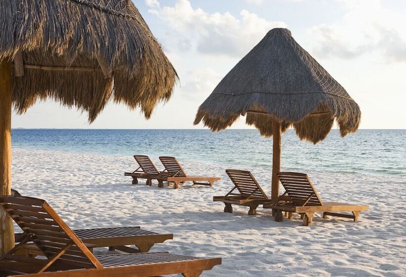 אתר נופש Excellence Playa Mujeres  All Inclusive  Adults Only