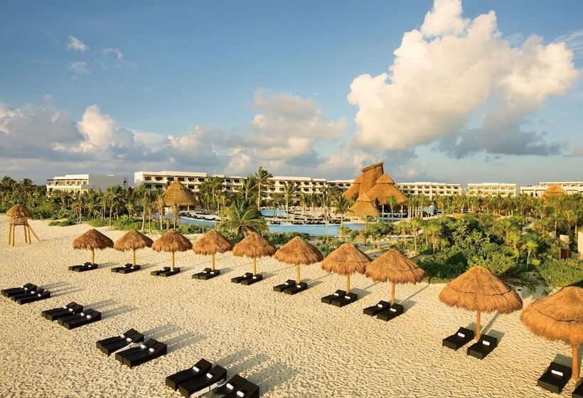 渡假胜地  Secrets Maroma Beach Riviera Cancun   Adults Only