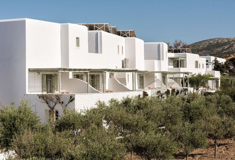 Saint Andrea Seaside Resort   Adults Only