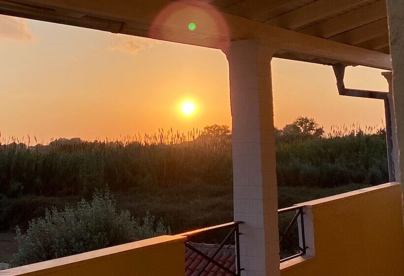 Stars Hotel   Adults Only