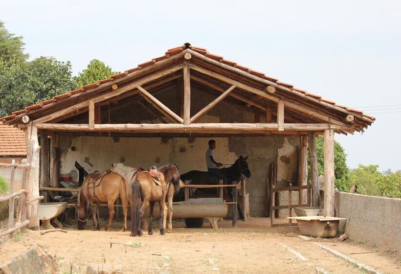 Big Valley Hotel Fazenda