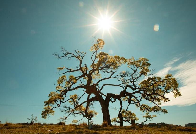 Big Valley Hotel Fazenda