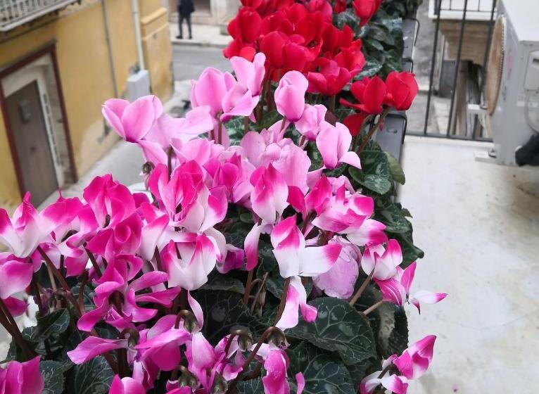 Bed and Breakfast Palazzo Gioffrè