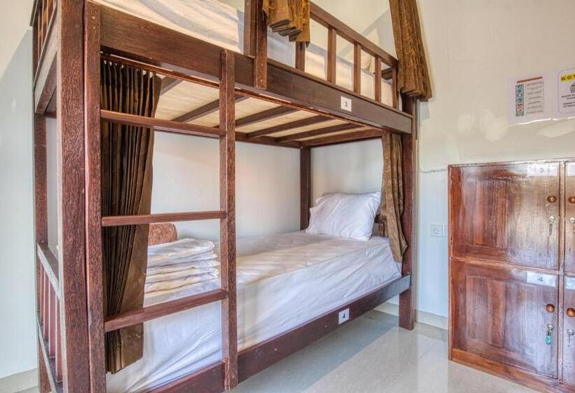 L Degus Hostel