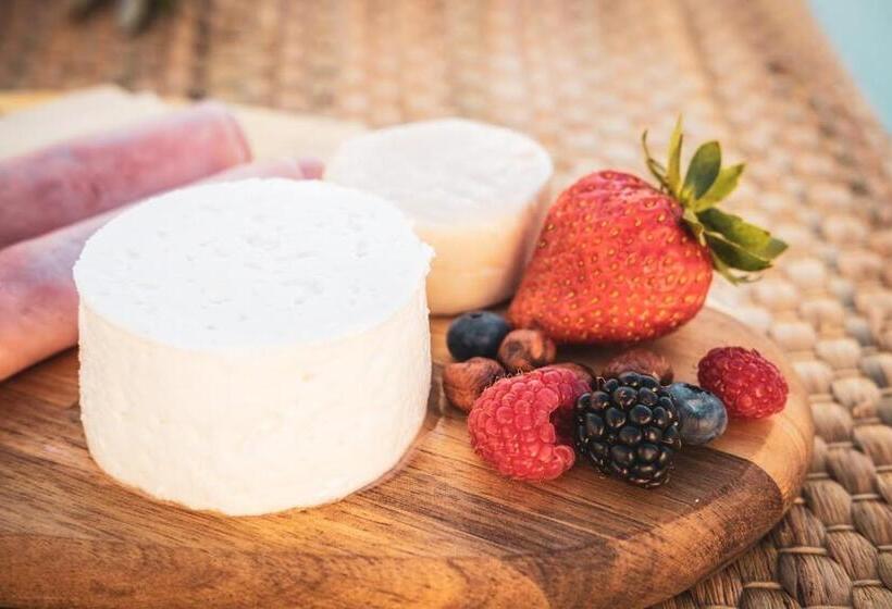 بنسيون A Casa Da Cerca