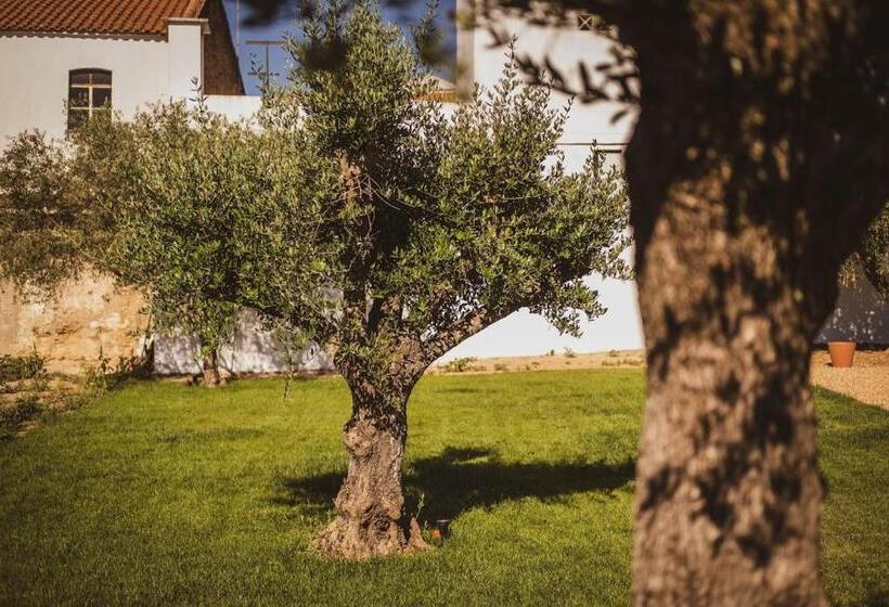 بنسيون A Casa Da Cerca