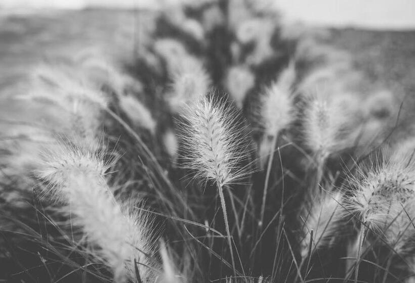 بنسيون A Casa Da Cerca