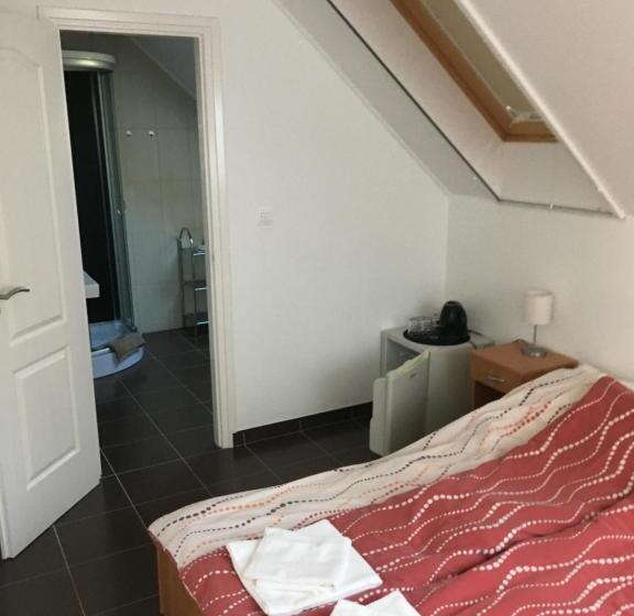 펜션 Bor Vendégház