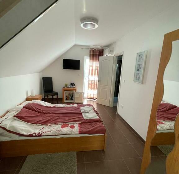 펜션 Bor Vendégház