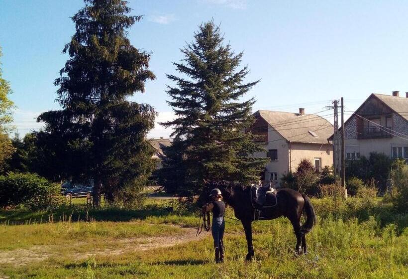 بنسيون Fenyőfa Vendégház