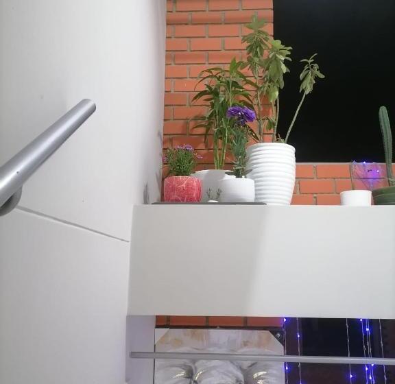 پانسیون Hostal Terraoro