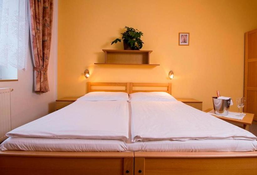 ペンション Penzion Bohemia