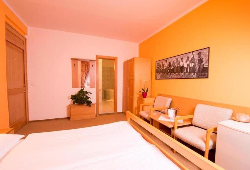 ペンション Penzion Bohemia