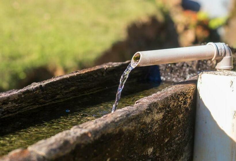 Pousada Recanto Da Cascata