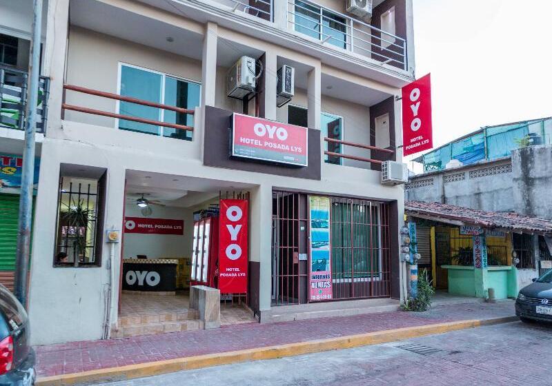 Alterhome Hotel Posada Lys