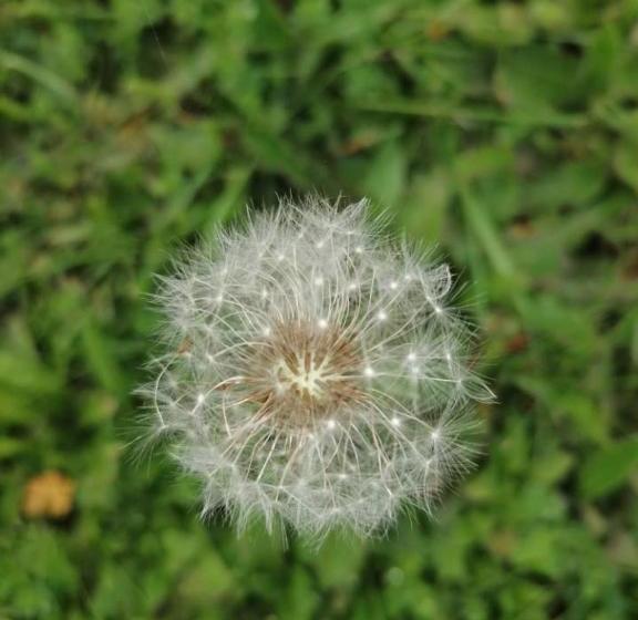 مبيت وإفطار La Roulotte Des Trois Arbres