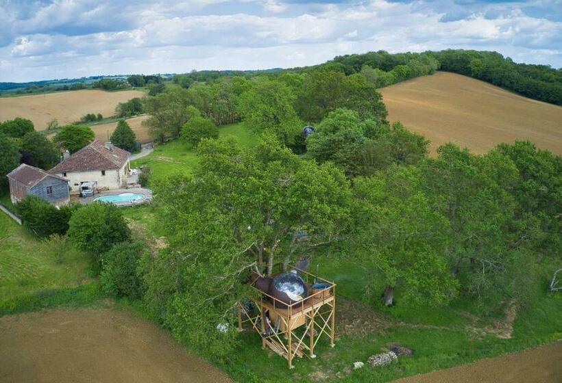 Bed and Breakfast Les Bulles Perchées De Lartigue