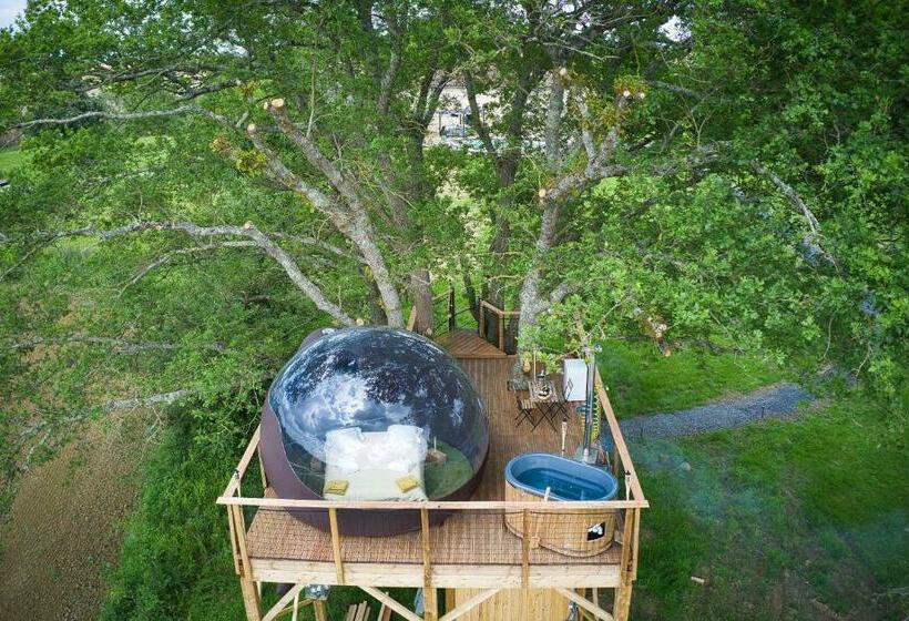 Bed and Breakfast Les Bulles Perchées De Lartigue